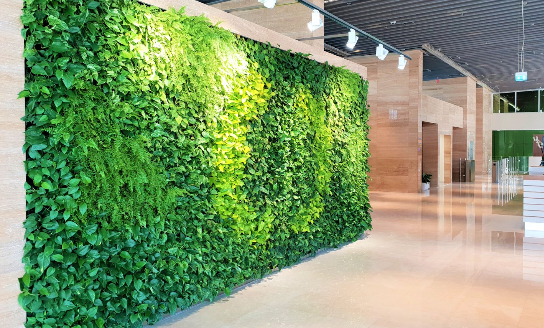 Your Ultimate Guide to Green Walls in Dubai | Planters